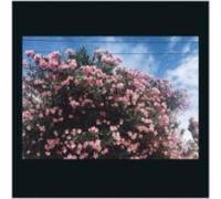 CERES: DRAG IT DOWN ON YOU - CD