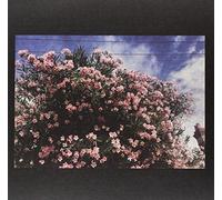 Ceres - Drag It Down On You [VINYL]