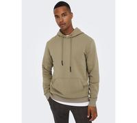 Ceres Life Hoodie grey-beige