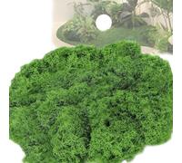 Cerkkapo 200 g Artificial Moss for Decorating, Artificial Moss for Crafts, Artificial Moss Decoration, Art, Moss, Fake Decorative Moss, Craft Moss, DIY for Wall, Nativity, Aquarium, Nativity Scene