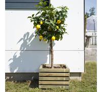 Cerland Kub Square Slatted Planter 40cm x 40cm 30L Modern Square Wooden Planter