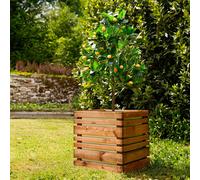 Cerland Lign Z Outdoor Square Wooden Planter 50cm