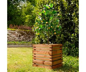 Cerland Lign Z Outdoor Square Wooden Planter 50cm
