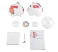 Cerlyiont 6X Magnification Human Eye Model Anatomy Study Teaching Applicable Classroom Equipment