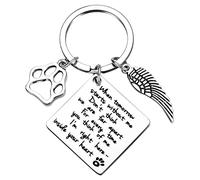 Cerolopy Loss of Pet Keychain, Memorial Keyring Angel with Paws, Key Pendant Sympathy Remembrance Gift for Pet Dog Cat Lover