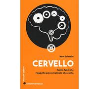 Cervello Come funziona l'oggetto più complicato che esista