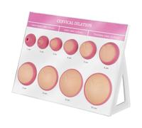 Cervical Dilation Simulator, 1-10cm, 10-Stage Model for Medical Education and Training, Gynaecological Backbirthing Board with Bracket