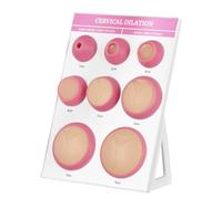 Cervical Dilation Simulator with 1-8cm, Chart on Display Board for Midwife and Doula Training, Medical Education, and Birth Learning