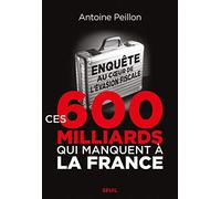 Ces 600 milliards qui manquent à la France: Enquête au cœur de l’évasion fiscale