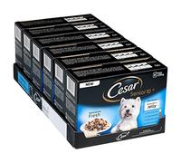 Cesar 10+ Deliciously Fresh Wet Dog Food for Senior dogs, Mixed Selection in Jelly, 48 Pouches (48 x 100 g)