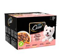 CESAR Senior Mixed Selection Deliciously Fresh Adult Wet Dog Pouches Mixed in Sauce, 4x (12 x 100 g)
