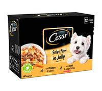 CESAR Deliciously Fresh Favourites Adult Wet Dog Food in Jelly - 12x10