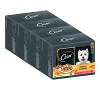 Cesar Adult Wet Dog Food Selection in Jelly, 48 Portion Bags, 12 x 100