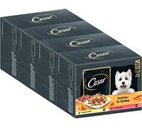 Cesar Adult Wet Dog Food Selection in Jelly, 48 Portion Bags, 12 x 100 g (Pack of 4) - Balanced Premium Dog Food Wet, with Chicken & Beef