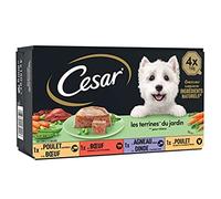 CESAR Barquettes en terrine - 4 variétés - Pour chien adulte - 4 x 150 g