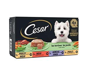 CESAR Barquettes en terrine - 4 variétés - Pour chien adulte - 4 x 150 g
