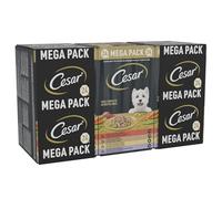 Cesar Adult Wet Dog Food Trays Mixed in Loaf, 24 x 150g