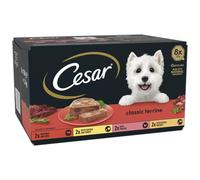 Cesar ClassicTerrine Dog Food Wet - Mixed Selection in Jelly, 8x150g (Pack of 3)