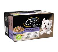 Cesar Country Kitchen Dog Tray Special Selection in Gravy 8x 150g