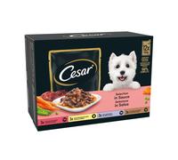 Cesar Deliciously Fresh Dog Food Pouches Mixed Selection in Sauce 12x100g