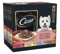 CESAR Deliciously Fresh Dog Pouches Favourites in Sauce 48x100g