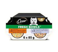 CESAR Fresh Bowl Adult Dog Chicken & Duck Taster Multipack 6x85g (Pack of 4)