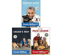 Cesar Millan 3 Books Collection Pack Set - How to Raise the Perfect Dog, Cesar's Way & Be the Pack Leader