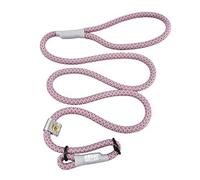 Cesar Millan Slip Lead Leash™ - Slip Collar Training Lead Gives You Greater Control and The Ability to Make Quick and Gentle Corrections (Regular, Pink/Grey)