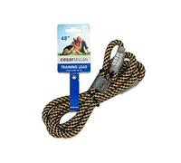 Cesar Millan Slip Lead Leash™ - Slip Collar Training Lead Gives You Greater Control and The Ability to Make Quick and Gentle Corrections (Regular, Black/Tan)
