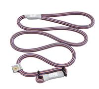Cesar Millan Slip Lead Leash™ - Slip Collar Training Lead Gives You Greater Control and The Ability to Make Quick and Gentle Corrections (Regular, Blue/Orange)