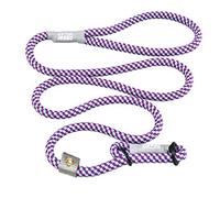 Cesar Millan Slip Lead Leash™ - Slip Collar Training Lead Gives You Greater Control and The Ability to Make Quick and Gentle Corrections (Regular, Aqua/Purple)