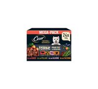 CESAR Natural Goodness Mixed Selection in Loaf 24x100g