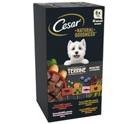Cesar Natural Goodness Mixed Selection- Wet Dog Food - for Adult Dogs - in Loaf - 24 x 100 g