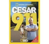 CESAR SELLA: 60 TODAS LAS VOCES - CD