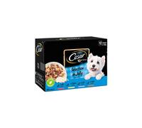 Cesar Senior 10+ Deliciously Fresh Wet Dog Food Pouches in Jelly with Natural Ingredients Suit Any Dogs Taste 12 x 100g