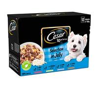Cesar Senior 10+ Dog Wet Food in Pouch Selection in Jelly, 12x100g