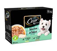 Cesar Senior 10+ Dog Wet Food in Pouch Selection in Sauce, 12x100g
