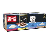 CESAR Senior Dog Pouches Sauce Selection in Jelly 40x100g