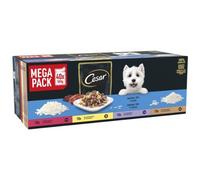 Cesar Senior Dog Pouches Sauce Selection In Jelly 40x100g