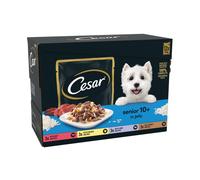 Cesar Senior Wet Dog Food in Jelly