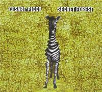 Cesare Picco - Secret Forest