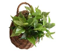 Cestas de Pared Tejidas - Macetero Colgante de Ratán Natural Hecho a Mano | Soporte para Plantas Interior y Exterior | Decoración Hogar Jardín Cocina Dormitorio Bodas | Cestas Colgantes Tejidas