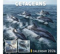 Cetaceans Calendar 2026: Whales, Dolphins, and Porpoises Gliding Through Ocean Realms