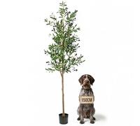 CETRD Lifelike 5F Artificial Olive Tree, Tall Faux Olive Trees Outdoor Indoor Fake Plant with Pot Thicker Trunk More Leaves & Fruits Maintenance-Free Fake Olive Tree for Office Home Shop Decor(150CM)