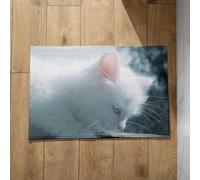 CEVAN Extra Large Door Mat Bathroom Inside Mat Cat Small Indoor Door Mats Non Slip Washable Bath Mat Washable Soft Flannel Surface, Customizable Design, Non-Slip Doormats 40x60cm