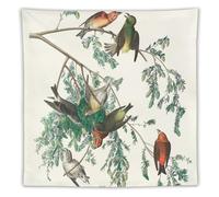 CEWO American Bird Artists John James Audubon Illustration from 'Birds of America Poster Tapestries Wall Art Painting Gift Living Room Prints Bedroom Decor Tapestry Artworks 60"x60"