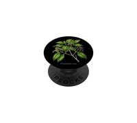 Ceylon cinnamon plant illustration Cinnamomum verum PopSockets Adhesive PopGrip