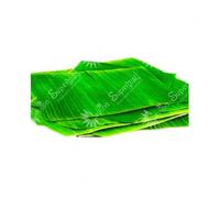 Ceylon Supermart Fresh Banana Leaves Pieces | Pack of 3 Pieces