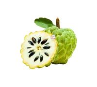 Ceylon Supermart Fresh Custard Apple | Single