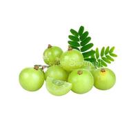 Ceylon Supermart Fresh Nelli | Amla Fruit, Approximate Weight 500g